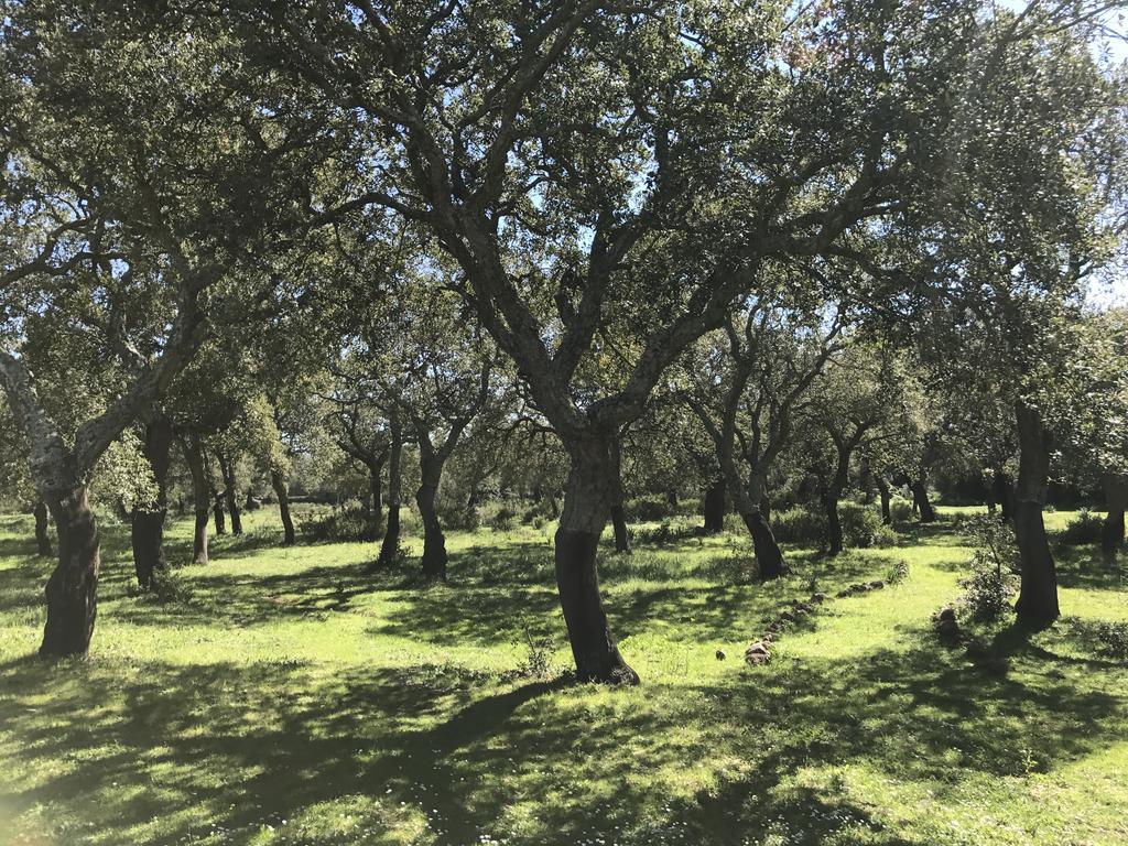 אבאסנטה Hotel Su Baione מראה חיצוני תמונה